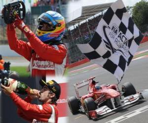 Puzzle Fernando Alonso πανηγυρίζει τη νίκη του στο Grand Prix της Μεγάλης Βρετανίας (2011)